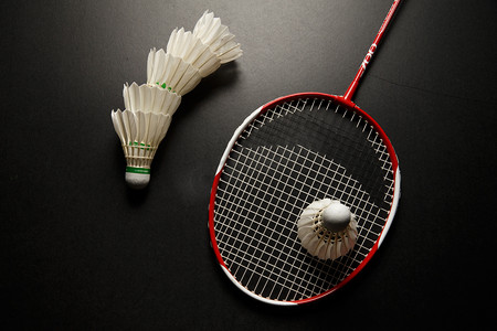 仅打动了球 仅打动了球